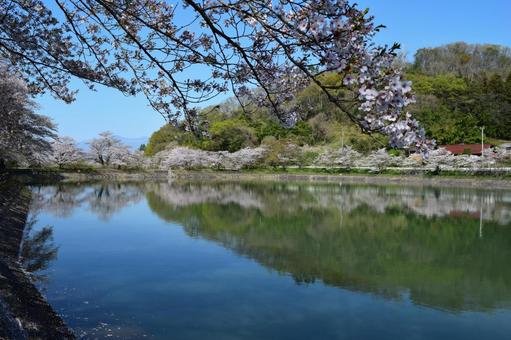 🌳 차야누마 공원 이미지 7